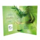 Carte voeux plante postale (palmier) personnalisable et recyclée
