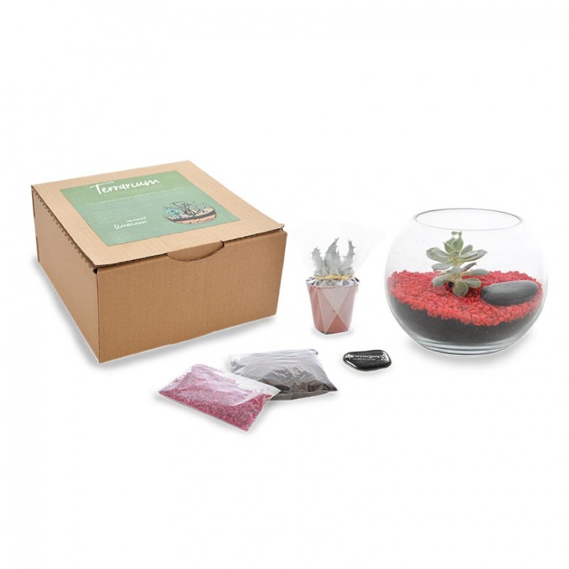 Cadeau original Terrarium personnalisé - Prisme