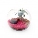 Terrarium Bonsaï Ficus Ginseng publicitaire personnalisé - Grand modèle