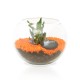 Terrarium Bonsaï Ficus Ginseng publicitaire personnalisé - Grand modèle