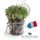 Kit de plantation publicitaire personnalisable bocal conserve verre