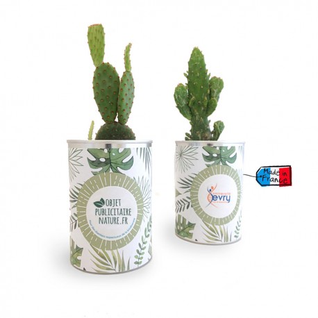 Cactus ou plante au choix en canette personnalisée