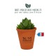 Plante publicitaire de bureau en pot terre cuite 10cm