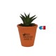 Plante publicitaire de bureau en pot terre cuite 10cm