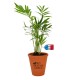 Plante publicitaire de bureau en pot terre cuite 10cm