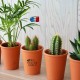 Petite plante publicitaire de bureau en pot terre cuite 6 cm