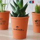 Petite plante publicitaire de bureau en pot terre cuite 6 cm