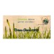 Carte cadeau en bois personnalisée format correspondance 200x99mm