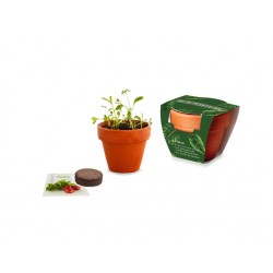 Kit de plantation, pot œuf – Compléments d'image