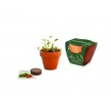 Kit de plantation pot terre cuite fourreau standard