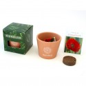 Kit de plantation cube standard pot terre cuite