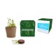 Kit de plantation terre cuite