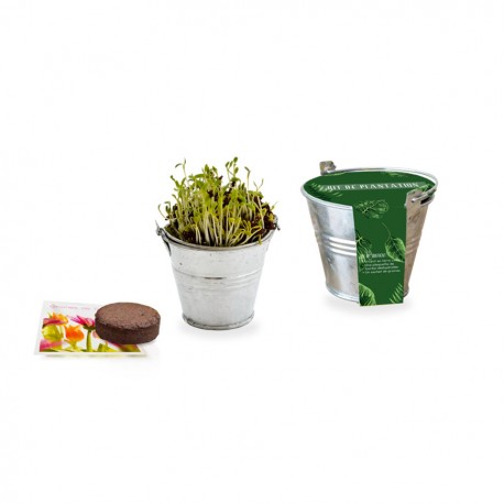 Kit de plantation pot zinc