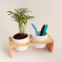 Plateau bois avec 2 pots céramique et une plante dépolluante