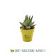 Petite plante dépolluante de bureau en pot bambou 6 cm personnalisable