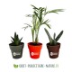 Petite plante dépolluante de bureau en pot bambou 6 cm personnalisable