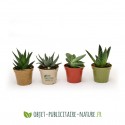 Petite plante dépolluante de bureau en pot bambou 6 cm personnalisable