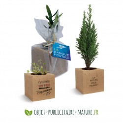 Boîte Coffret Cadeau Caméléon - Packaging personnalisable à souhait !