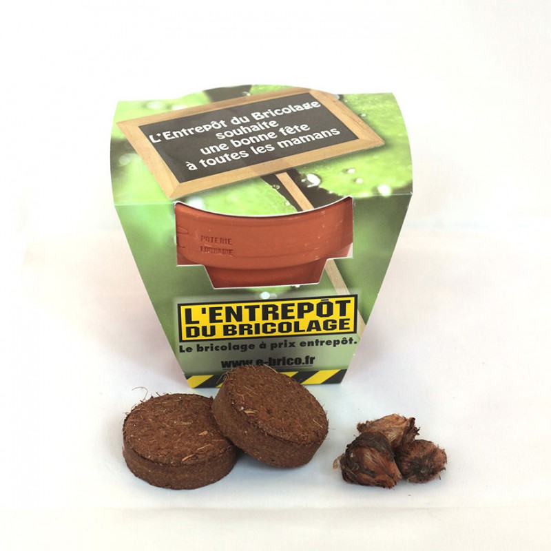 Kit de plantation publicitaire avec graines en pot terre cuite 8 cm