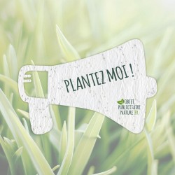 Carte de vœux - Sachet de graines à planter - Joyeux Noël - L'INATELIER