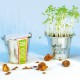 Kit de plantation mini pot zinc 6 cm - Fourreau publicitaire