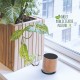 Enceinte en bois d'érable personnalisable - 3W - Bluetooth