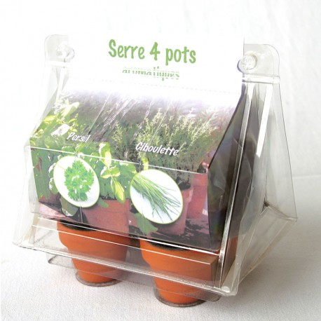 Serre 4 pots terre cuite avec sachets graines fleurs légumes arbres