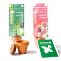 Mini serre 1 pot terre cuite avec sachet graines et personnalisation