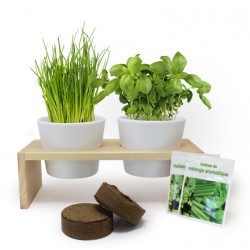 Plateau duo aromatiques - Kit de plantation publicitaire - Cadeau d'entreprise écologique