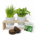 Plateau duo aromatiques - Kit de plantation publicitaire