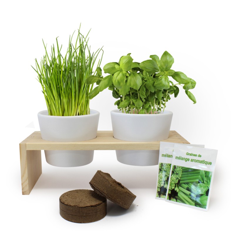 Plateau duo aromatiques - Kit de plantation publicitaire personnalisé