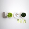 Logo végétal en mousse naturelle