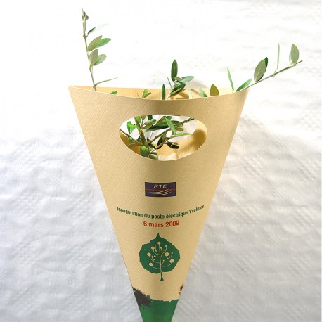 Plant d'arbre à offrir en cornet kraft personnalisable