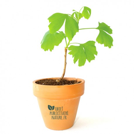 Plant d'arbre publicitaire en pot terre cuite personnalisable