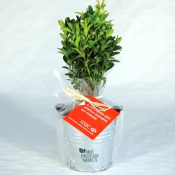 Plant d'arbre publicitaire en pot zinc personnalisable