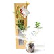 Plant d'olivier en sac kraft fenêtre avec étiquette personnalisable