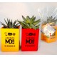 Plante publicitaire pot spécial ordinateur
