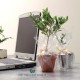 Plant d'arbre publicitaire en pot zinc personnalisable