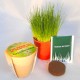 Kit de plantation publicitaire avec pot en bambou biodégradable