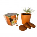 Kit de plantation publicitaire en pot terre cuite grand format 10cm