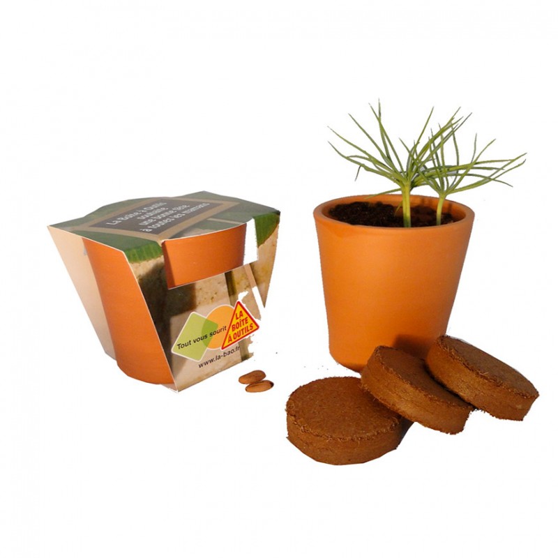 Kit de plantation publicitaire avec graines en pot terre cuite 10 cm