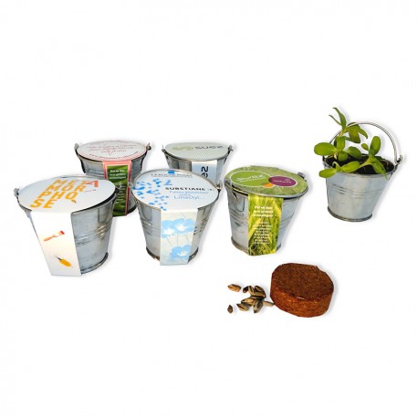 Kit de plantation mini pot zinc 6 cm - Fourreau publicitaire