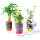 Plante publicitaire dépolluante en verre personnalisé avec graviers colorés