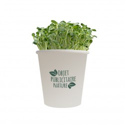 Kit de plantation publicitaire en pot carton grand modèle personnalisé