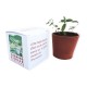 Petit cube de plantation boîte carton personnalisable pot terre cuite