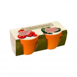 Kit de plantation publicitaire double avec 2 pots terre cuite 6 cm