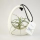 Plante Tillandsia en pot ceramique personnalisé par étiquette - Objet Publicitaire Nature