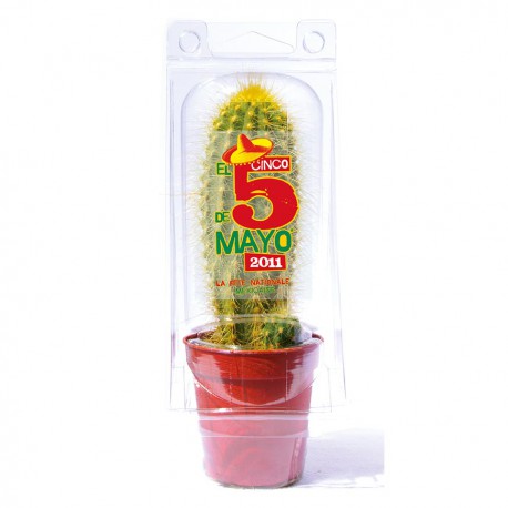 Petite serre publicitaire 1 pot cactus ou plante personnalisable