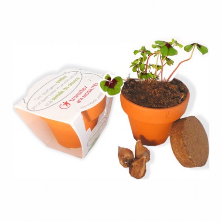 Trèfles à 4 feuilles - kit de plantation publicitaire pot terre cuite