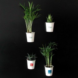 Petite plante publicitaire pot aimanté personnalisable